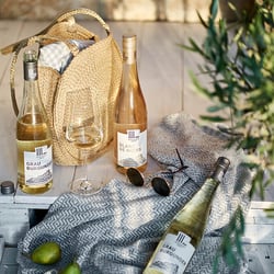 Saisonales Shooting für Rotkäppchen/Mumm/Badische Weine