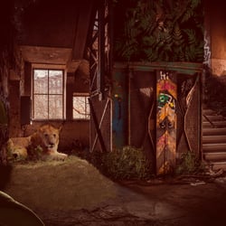 It’s a jungle out there