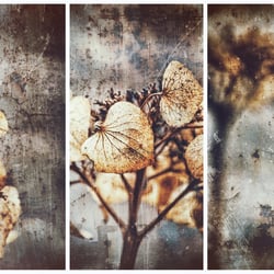 Fine Art