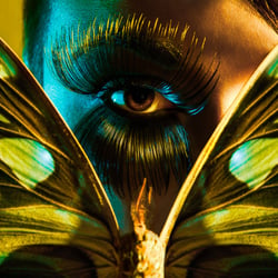 Moth