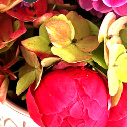 Flower Power / 2022