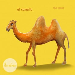 kamel
