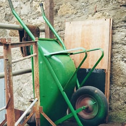 GREEN – 35mm ANALOG SHOT