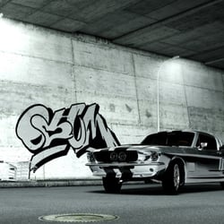Mustang in Umgebung