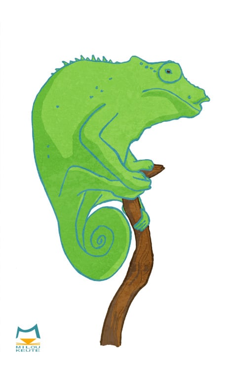 Chamälion
