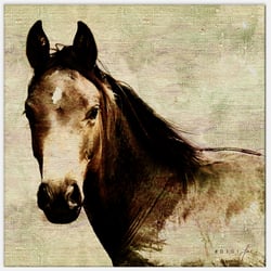 Tieraquarell nach Fotovorlage