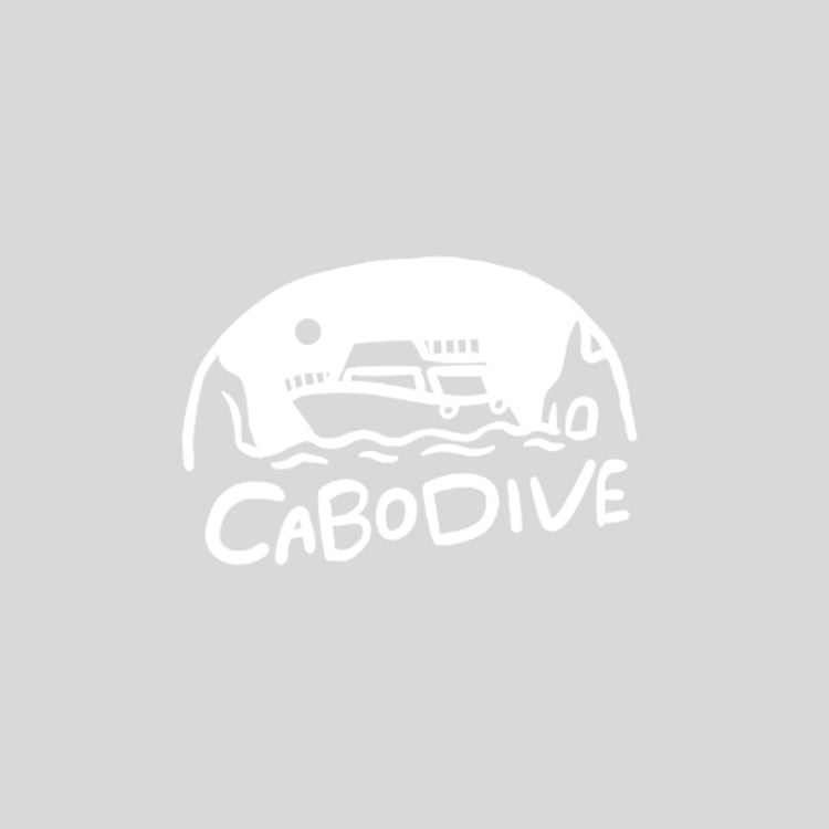 Cabo Dive