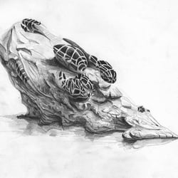 Metastaeseis VI