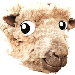Schaf Portrait