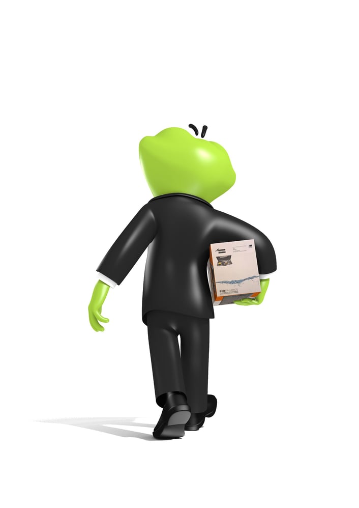 3D Character Frog for representation of the company