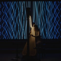 StringsInMotion 1