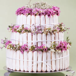 Torte
