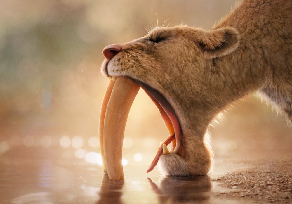 Smilodon