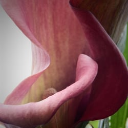 DSCN5710a