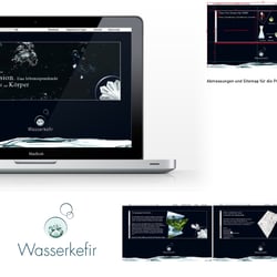 Webdesign: Wasserkefir (2007)