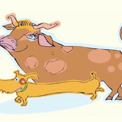 Reader’s Digest Illustration Innenseite „lang“
