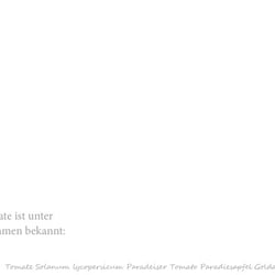 Einleitung Tomatenbroschüre