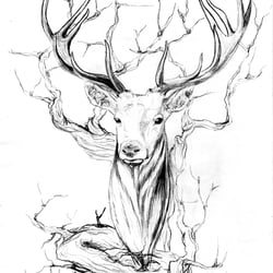 Tiere 2