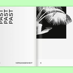 Leafy House Plants Von Benjamin Wurster