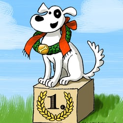 Dog Race