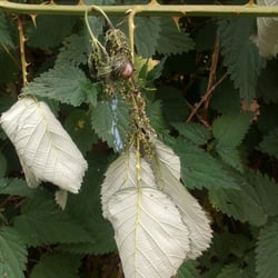 Natur 2012