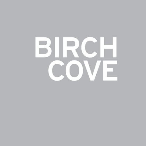 Birch Cove Digital GmbH