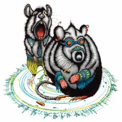 Die Ratten von Bonn