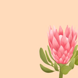 Blume