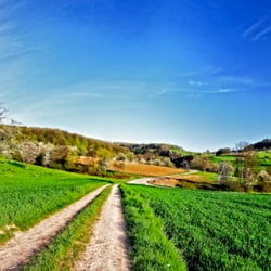 Kirschbaumblüte im Oberegggener Tal