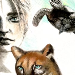 puma