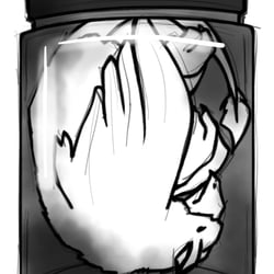 #11