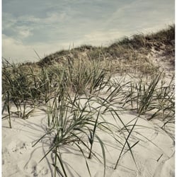 LANDSCAPE .02