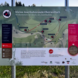 Infotafel des Themenwanderwegs „Kleine Auerhuhnrunde“ mit Kartendarstellung