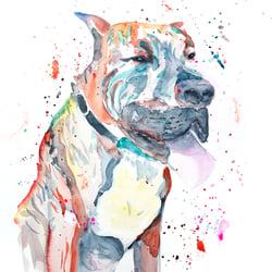 Dogge