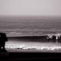 Bevis Photography