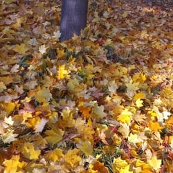 Herbst…Oktober 2012 Teil 02