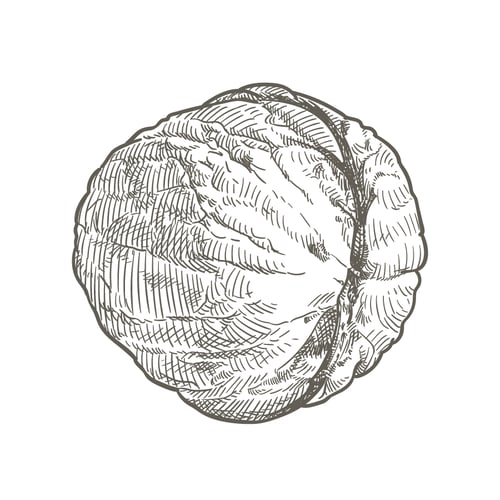 utopie und praxis – Werbe- und Grafikdesign – Nadine Maillefer