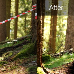 Photoshop – Bildbearbeitung und Retusche