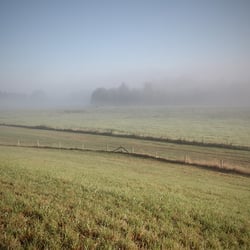 DSCN6851a