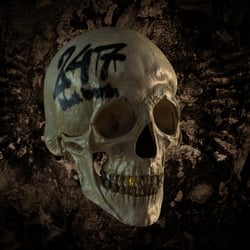 BlackBerlin „TheSkull“ //241- postal code&writting