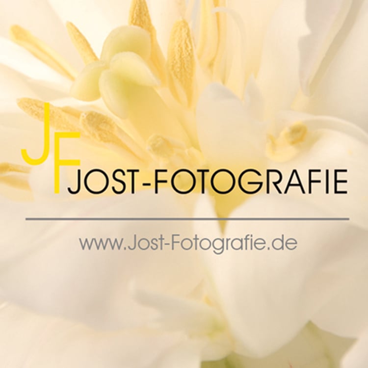Ingrid Jost-Freie