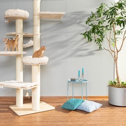 Katzenkratzbaum, Interioshooting