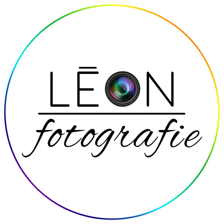 Leon Pozzi