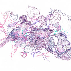 FREE WORK → Vogelhochzeit