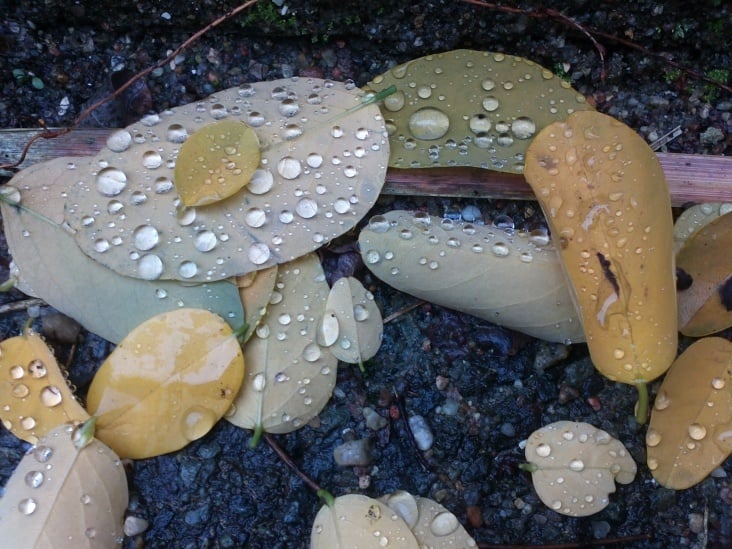 Herbst…Oktober 2012 Teil 02