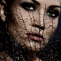 Nicole Schweizer Fotografie