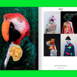 Slanted-Magazine-38-Colours 20