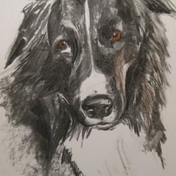 Dog II