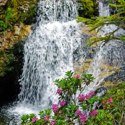Steiermark