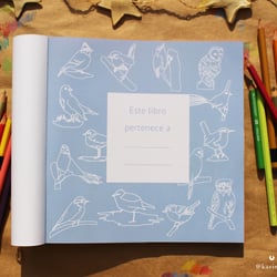 Cover and content of the self-published book“Pinta con Karina: pajaritos chilenos”, 2019.